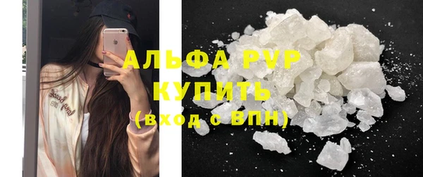 индика Абаза