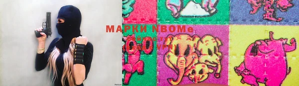 индика Абаза