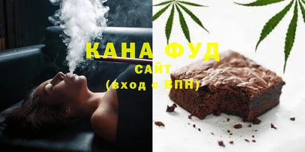 индика Абаза
