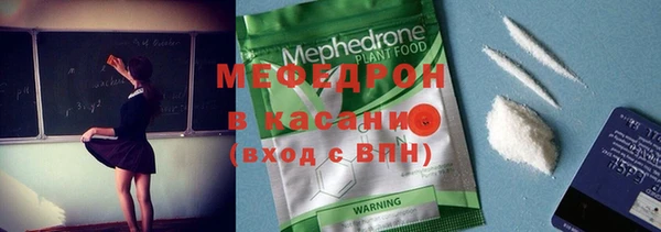 индика Абаза