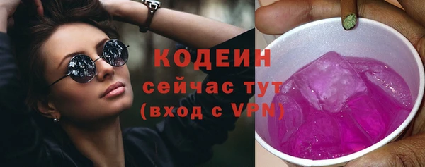 индика Абаза