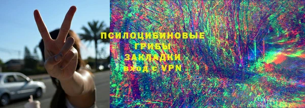 индика Абаза