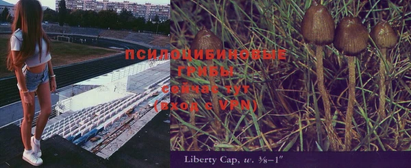 дурь Липки