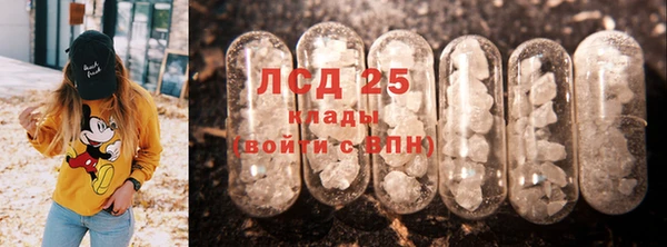 индика Абаза