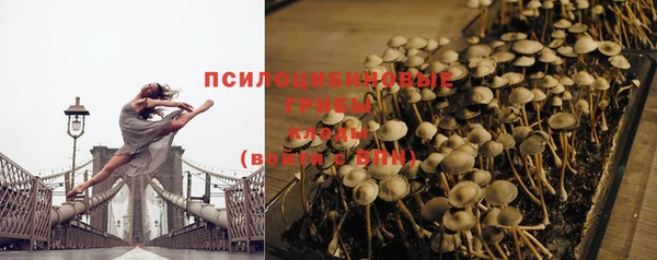 ГАЛЛЮЦИНОГЕННЫЕ ГРИБЫ Абинск