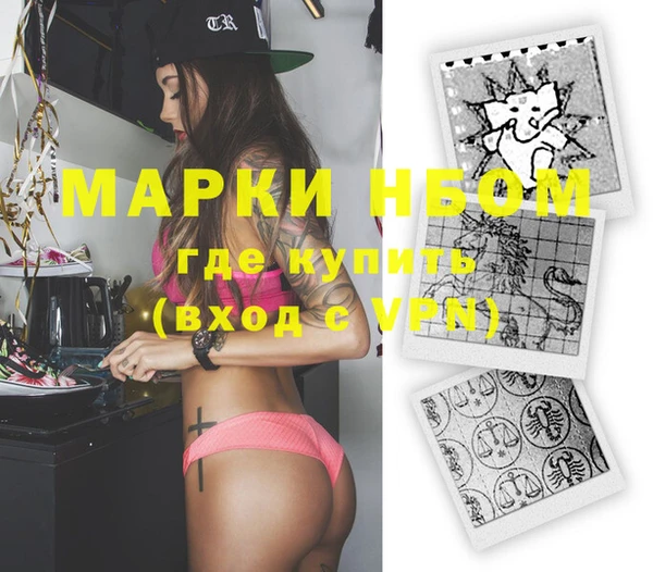 индика Абаза