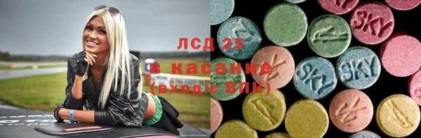 индика Абаза