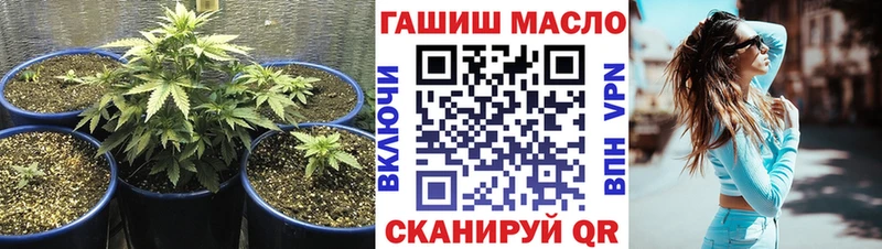 ссылка на мегу tor  Электросталь  ТГК вейп с тгк 